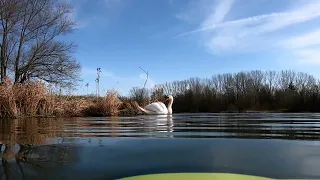 Tauchen in der Donau - Steuerung einer Unterwasser Drohne - Fifish V6s