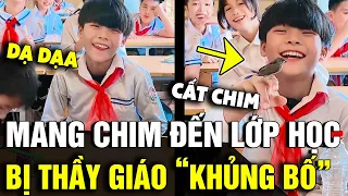 'MANG CHIM' đến lớp học, nam sinh bị thầy giáo 'KHỦNG BỐ TINH THẦN' | Tin Nhanh 3 Phút