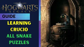 Hogwarts Legacy All Snake Puzzles Solution - Learning CRUCIO Spell
