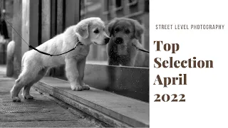 STREET PHOTOGRAPHY: TOP SELECTION - APRIL 2022 -