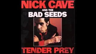 Nick Cave - Tender Prey - Full Album 720p HD