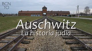 CRACOVIA 2 - Auschwitz y la historia de los judíos polacos