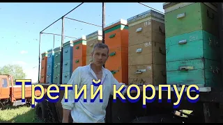 Расширение многокорпусного улья третьим корпусом.