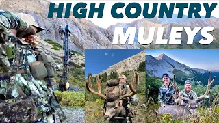 ARCHERY HUNT IN THE ROCKY MOUNTAINS | 2 BUCKS DOWN!