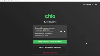 Решение бесконечной загрузки кошелька в Chia Blockchain