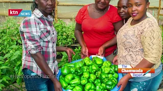 The Chamwada Report: Hydroponic Farming in Kenya