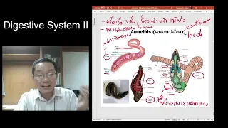 TR501-DIGESTIVE-SYSTEM-2-06OCT2020