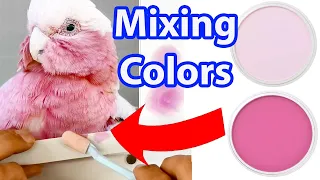 How to Mix PanPastel Colours - Pan Pastel Lesson - Jason Morgan Art