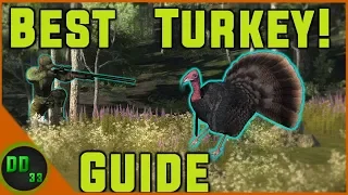THE ULTIMATE GUIDE for TURKEY HUNTING!!  TheHunter Classic 2019