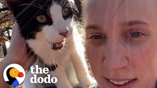 Woman Going For A Jog Finds A Meowing Stray Cat  | The Dodo