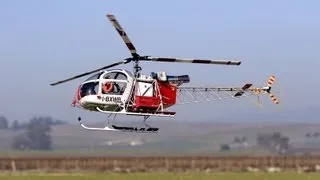 RC Helicopter Vario Lama Jet 1/4 scale