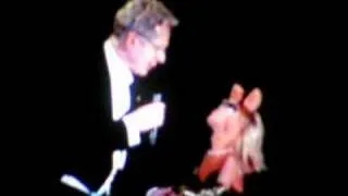 Miss Piggy performs "Fever" at the Hollywood Bowl