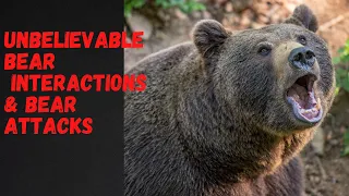 UNBELIEVABLE Bear  Interactions  & Bear Attacks CAUGHT ON CAMERA!