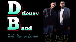 Drienov Band - Tejle Mange Besav 2020