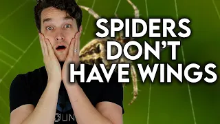 Checkmate Evolution: Spiders Don't Have Wings