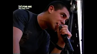 Alien Ant Farm- Smooth Criminal (Live At The Big Day Out)