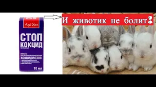 Самая лучшая профилактика кокцидиоза у кроликов!!! Вздулся живот у кролика? Вам сюда всё просто!!!