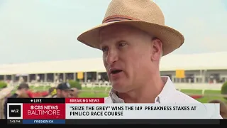 Part-owner of Seize the Gray celebrates Preakness Stakes win