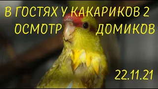 TimPtitZ: Осмотр домиков у Какариков 22.11.21