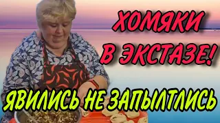 ХОМЯКИ ЗАТОПИЛИ СЛЮНОЙ. ОЛЬГА УРАЛОЧКА LIVE. ОБЗОР.