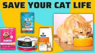 Best Cat Foods for Urinary Tract Health - Prevent & Heal Urinary Disease