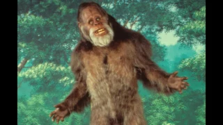 Bigfoot school video