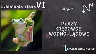 Biologia klasa 6 [Lekcja 15 - Płazy - kręgowce wodno-lądowe]