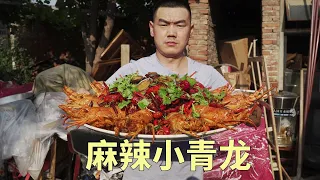 【食味阿远】朋友带了10只小青龙，阿远做个“麻辣小青龙”吃，香辣可口，带劲 | Shi Wei A Yuan