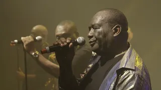 TABOU COMBO  Le concert des 50 ans - 07 Aux Antilles (Zénith de Paris 2018)