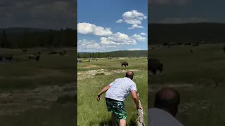 GIRL TRIPS WHILE BEING CHASED BY A BISON