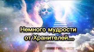 Немного мудрости от Хранителей