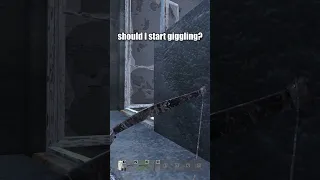 DayZ Giggle Trolling