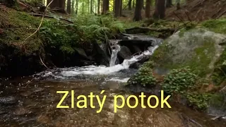 Rýžování zlata na Zlatém potoce, úkryt v jeskyni, splav vyrobený za 30 minut.