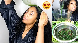 A Caribbean Hair Growth Secret Nobody Talks About | MASSIVE HAIR GROWTH + LENGTH RETENTION !