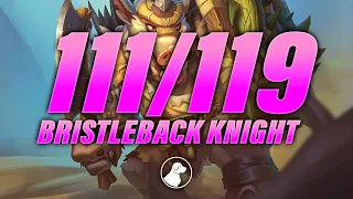 111/119 Bristleback Knight Destroys Lobby | Dogdog Hearthstone Battlegrounds