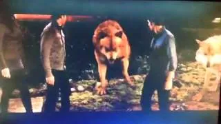 Breaking Dawn Part 1 - Extended scene - Jacob heals