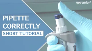 How to pipette correctly – a short step-by-step introduction into proper pipetting