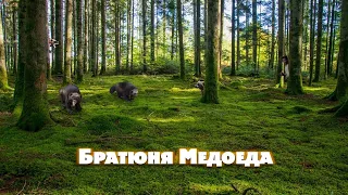 Росомаха - герой не из кино