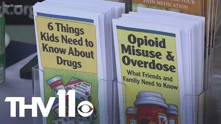 New pilot program helping Arkansas kids put at-risk by opioids and other drugs