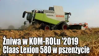 Żniwa w Kom-Rolu '2019 – Claas Lexion 580 w pszenżycie (oryginalny dźwięk)