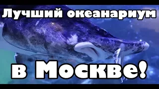 Океанариум Крокус сити! Лучший океанариум в Москве!