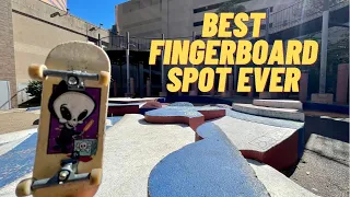 BEST FINGERBOARD SPOT EVER?!