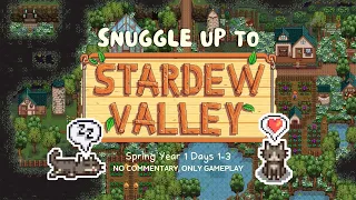 SNUGGLE UP TO: Stardew Valley 🌽 No Commentary, Only Gameplay (Spring Year 1, Days 1-3)