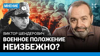 ШЕНДЕРОВИЧ: Военное положение неизбежно?