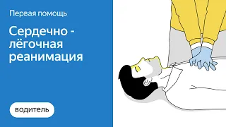 Как правильно оказать первую помощь при остановке дыхания | Яндекс.Про