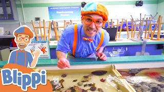 Blippi Visits a Zoo & Aquarium! | Learn Zoo Animals for Kids | Educational Videos for Toddlers