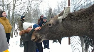 Подмосковный Сафари-Парк