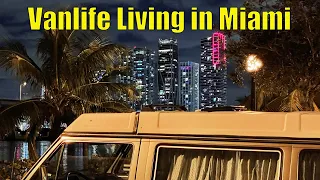 #6 Living in My Westfalia - Miami