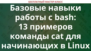 Базовые навыки работы с bash 13 примеров команды cat в Linux