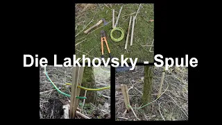 die Lakhovsky - Spule, Vitalisierung von Bäumen durch Elektrokultur
